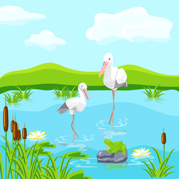 Fabulous inhabitants of the swamp. Herons and frogs. Vector illustration in cartoon style. - Vecteur, image