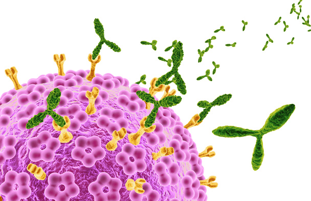 Human papillomaviruses HPV marked by antibodies, medically 3D il - Photo, Image