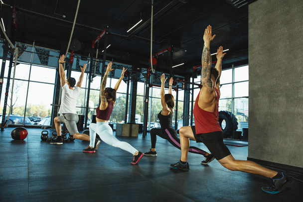 A group of muscular athletes doing workout at the gym - 写真・画像