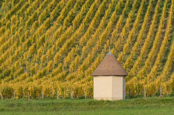 A traditional workers hut at a vineyard close to the village of Chateau-Chalon in the commune Jura department Franche-Comt, area in France.  - 写真・画像