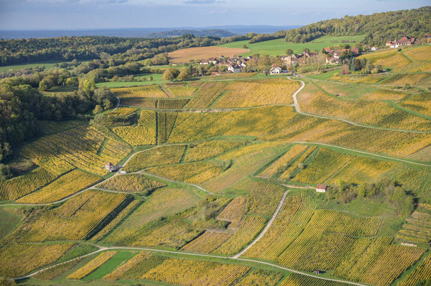 Виноградники рядом с Шато Шалон, департамент Юра, Франш-Конт, Франция
 - Фото, изображение