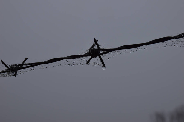 harmatcseppek egy szögesdróton a ködben - Fotó, kép