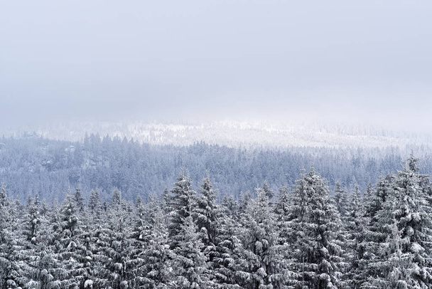 Paisaje invernal en Harz contra el cielo nublado
 - Foto, Imagen