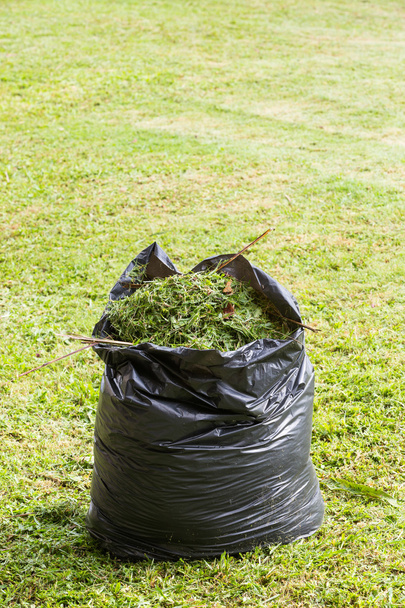 Grass in garbage bag - Photo, Image