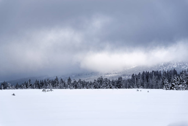 Panoramic view at a winter landscape in Harz mountains national park - 写真・画像
