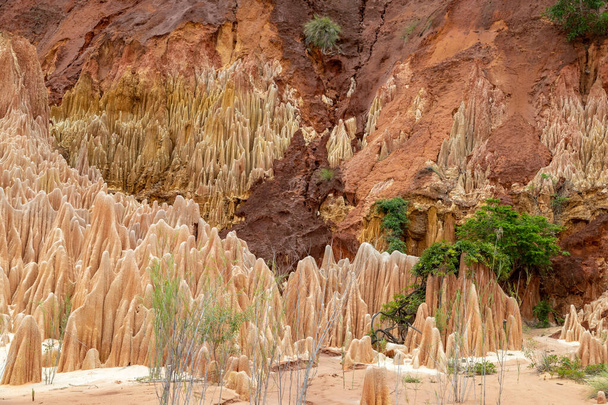 Красные песчаники и иглы в парке Цинги-Руж на Мадагаскаре, Африка
 - Фото, изображение