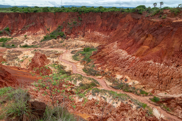 Formacje i igły z czerwonego piaskowca (Tsingys) w parku Tsingy Rouge na Madagaskarze, Afryka - Zdjęcie, obraz