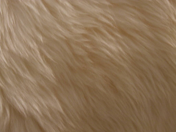 羊の皮、フェイクファー、ロングヴィリ - 写真・画像