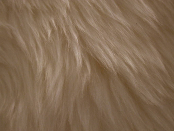 sheep skin, faux fur, long villi - Photo, Image