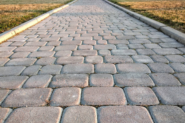 Primer plano de losa camino pavimentado de piedra en el parque o patio trasero. Walkw.
 - Foto, imagen