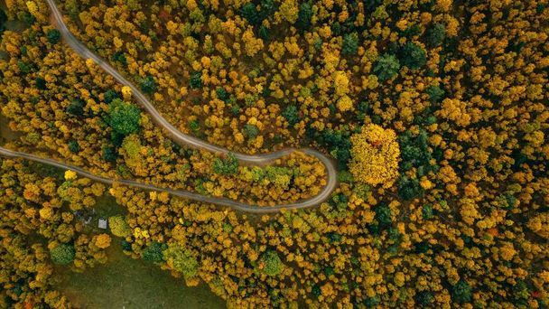 aerial of a beautiful autumn forest and the road  - Photo, Image