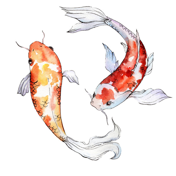 Acquatico subacqueo colorato set di pesci tropicali. Set sfondo acquerello. Elemento di illustrazione dei pesci rossi isolati
. - Foto, immagini