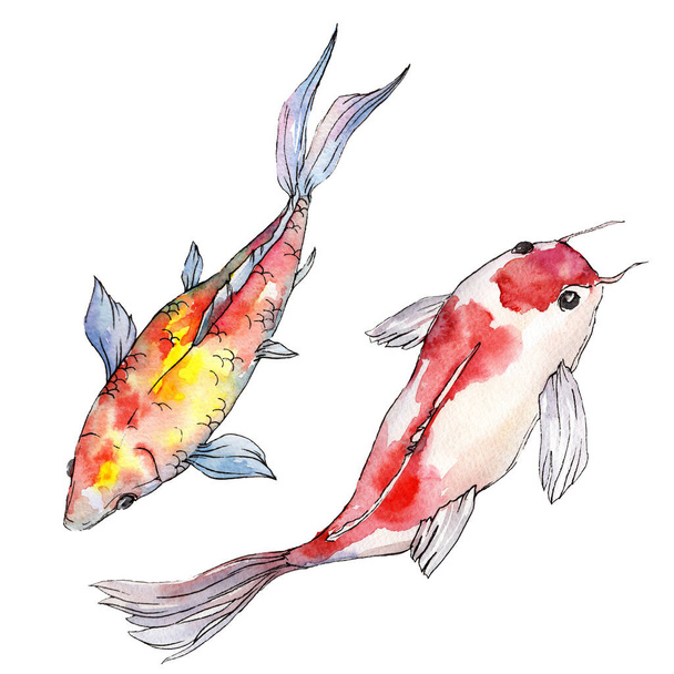 Aquatique sous-marin coloré ensemble de poissons tropicaux. Ensemble de fond aquarelle. Élément d'illustration isolé pour poissons rouges
. - Photo, image