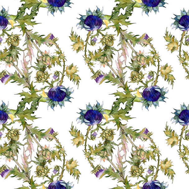 Distel Blumen botanischen Blumen. Aquarell Hintergrundillustration Set. nahtloses Hintergrundmuster. - Foto, Bild