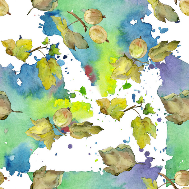 Gooseberry healthy food. Watercolor background illustration set. Seamless background pattern. - Фото, зображення