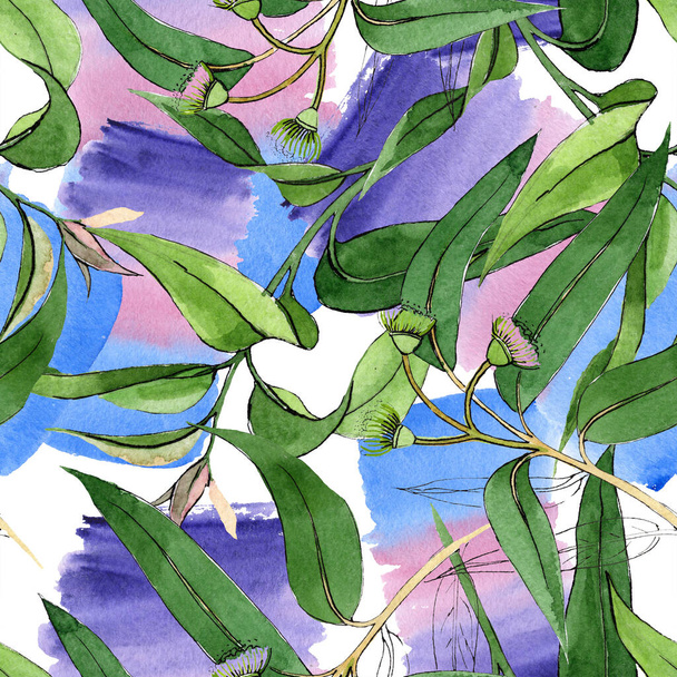 Eucaliptus floral botanical flowers. Watercolor background illustration set. Seamless background pattern. - Photo, Image