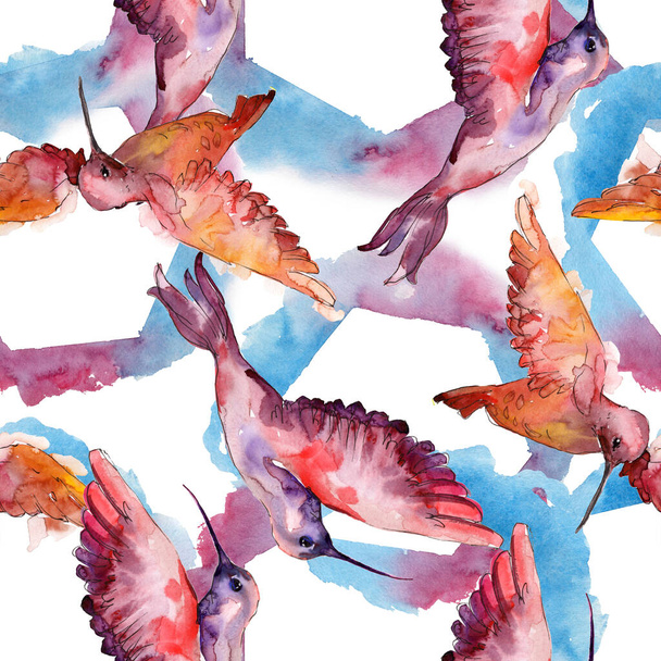 Sky bird colibri in a wildlife. Watercolor background illustration set. Seamless background pattern. - Photo, Image