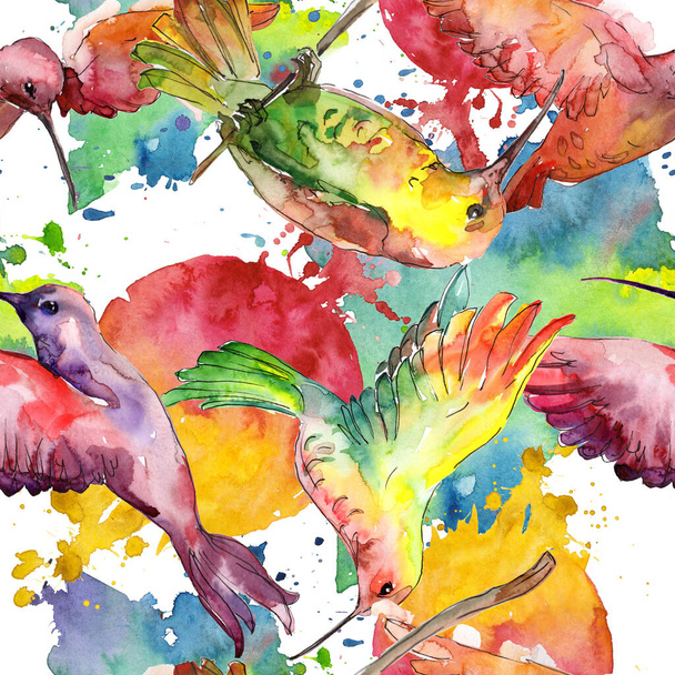 Nebe pták Colibri v divoké přírodě. Vodný obrázek pozadí-barevný. Bezespání vzorek pozadí. - Fotografie, Obrázek