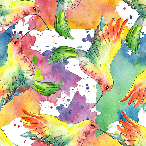 Sky bird colibri in a wildlife. Watercolor background illustration set. Seamless background pattern. - Photo, image