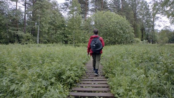 Οπίσθια όψη του ταξιδιώτη περπατώντας κατά μήκος ξύλινο μονοπάτι. Στικ. Ξύλινο μονοπάτι απλώνεται μέσα από βαλτώδη περιοχή κατάφυτη με γρασίδι για πεζοπορικές διαδρομές στο δάσος - Φωτογραφία, εικόνα