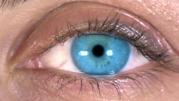 Nahaufnahme eines blauen Auges ist ein Stock-Video, das großartige Aufnahmen einer Frau mit atemberaubenden blauen Augen zeigt. sehen wir auch, wie sich ihre türkisfarbene Pupille während der Aufnahme erweitert. Sie können dieses Filmmaterial in jedem Projekt verwenden, das Sehvermögen, Gesundheit und dergleichen darstellt.  - Filmmaterial, Video