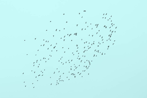 Vogelschar vor blauem Himmel - Foto, Bild