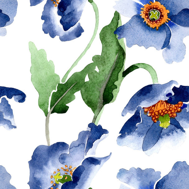 Μπλε παπαρούνα λουλούδια λουλουδιών. Σύνολο εικονογράφησης φόντου. Ομαλή μοτίβο φόντου. - Φωτογραφία, εικόνα