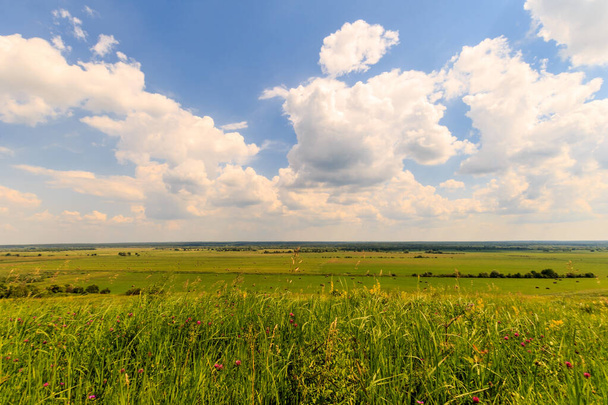 Summer landscape with green grass on a meadow and sky - Photo, Image