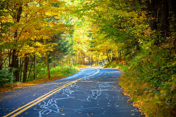 Езда по деревьям вдоль дорог в Массачусетсе осенью
 - Фото, изображение