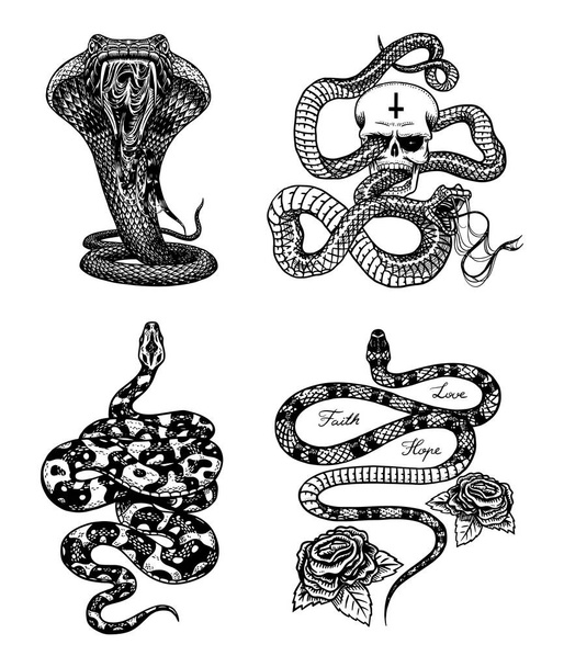 Ensemble de serpent vintage. Python royal avec crâne et roses, reptile laitier, cobra venimeux. Vipère empoisonnée pour affiche ou tatouage. Vieux croquis gravé à la main pour t-shirt ou logo
.  - Vecteur, image