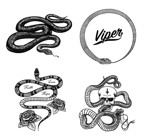 Vintage snake set. Royal python with skull and roses, milk reptile, venomous cobra. Poisonous Viper for poster or tattoo. Engraved hand drawn old sketch for t-shirt or logo.  - Vector, Image