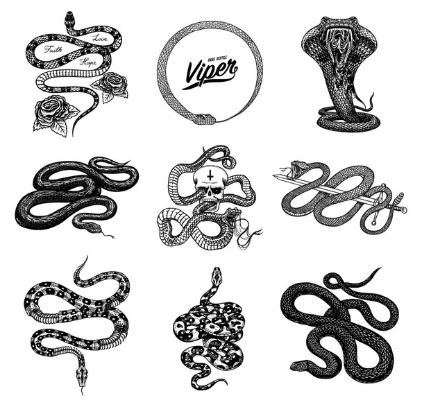 Set of snakes reptiles. Serpent cobra and python and Poisonous Viper. Engraved hand drawn old sketch for Tattoo. Vintage anaconda for sticker or logo or t-shirts. - Vector, Image