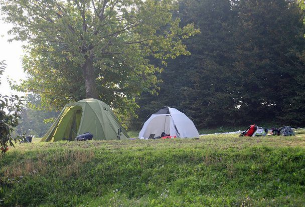 camp site with tents on summer - 写真・画像