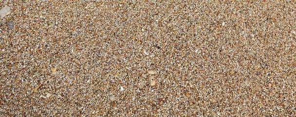 Küçük çakıl taşlı çakıllı kumsal - Fotoğraf, Görsel