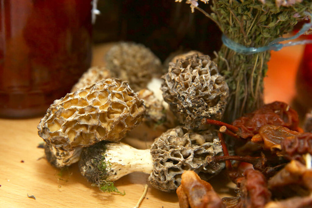Morchella esculenta. Fungo nella foresta. Fungo di pancetta di agnello in Azerbaijan Fungo naturale
. - Foto, immagini