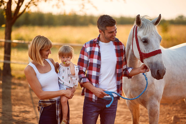 Family leisure.  Family have a fun with a horse. - Foto, imagen