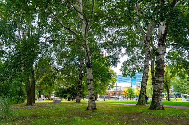 Park miejski w Eindhoven, jesień, Holandia. Przyroda. - Zdjęcie, obraz