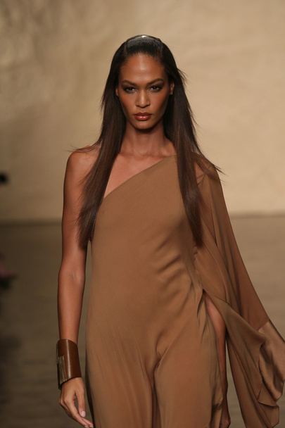 Model walks the runway at Donna Karan show - Photo, Image