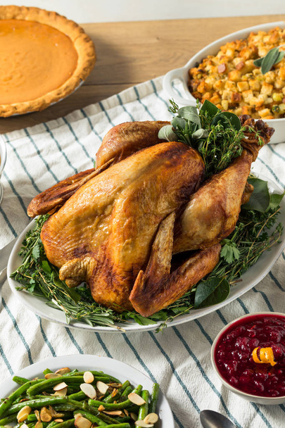 Homemade Thanksgiving Turkey Dinner with Potatoes - Foto, afbeelding