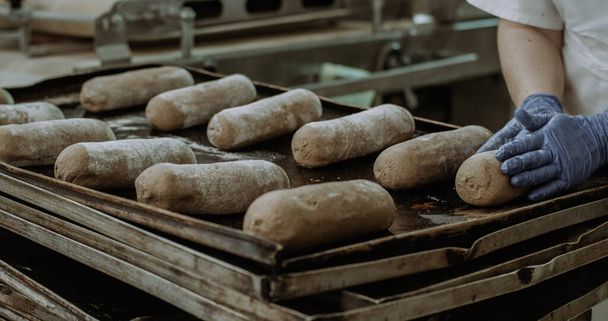 Los trabajadores del transportador automatizado de panadería transportaban el pan crudo en los estantes de una gran industria panadera que preparaba la masa.
 - Foto, Imagen