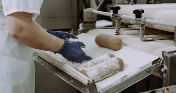 Les travailleurs du convoyeur automatisé de boulangerie ont transporté le pain cru sur les étagères dans une grande industrie de boulangerie préparant la pâte
 - Photo, image