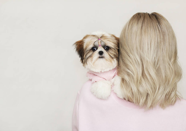 shih tzu puppy sitting on the blonde's shoulder, pink clothes - Photo, Image
