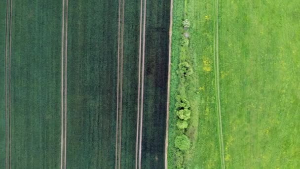 Az írországi mezőgazdasági területek légi rálátása - Felvétel, videó