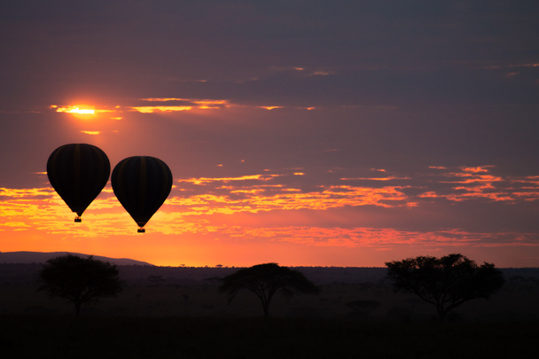 Morgendämmerung im Serengeti Nationalpark, Tansania, Afrika - Foto, Bild
