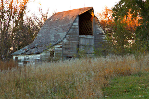 Kolory zachodu słońca na starej drewnianej stodole otoczonej wysoką trawą  - Zdjęcie, obraz