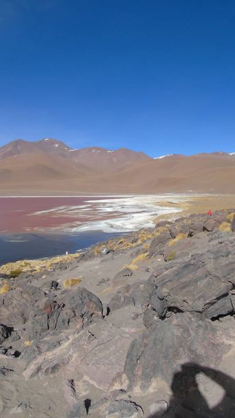 Laguna Colorada je místo rozmnožování andských plameňáků, stěhovavých ptáků, kteří se ve svých vodách bohatých na minerály počítají na míle daleko. In Potosi Bolívie - Fotografie, Obrázek