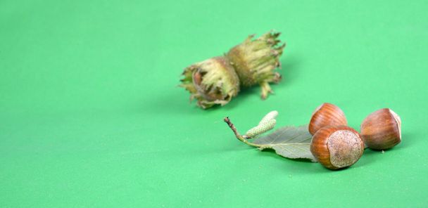 Hazelnuts - Photo, Image