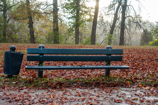 um banco de parque está no nevoeiro no início da manhã e ao lado dele i
 - Foto, Imagem