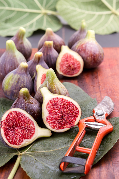 Figs and secateurs - Photo, Image