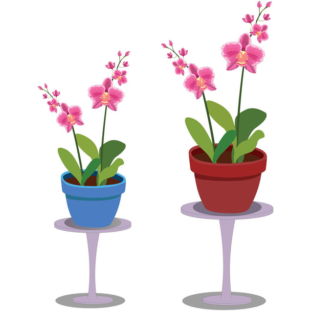 Flowering Plants on Flower Stands - Cartoon Vector Image - Vector, Image
